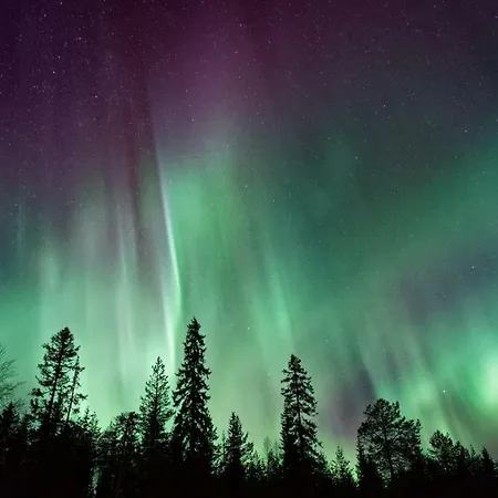 Arctic Homes - Premium - 2 Baths 公寓