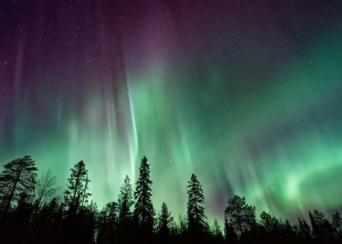 Arctic Homes - Premium - 2 Baths Apartamento